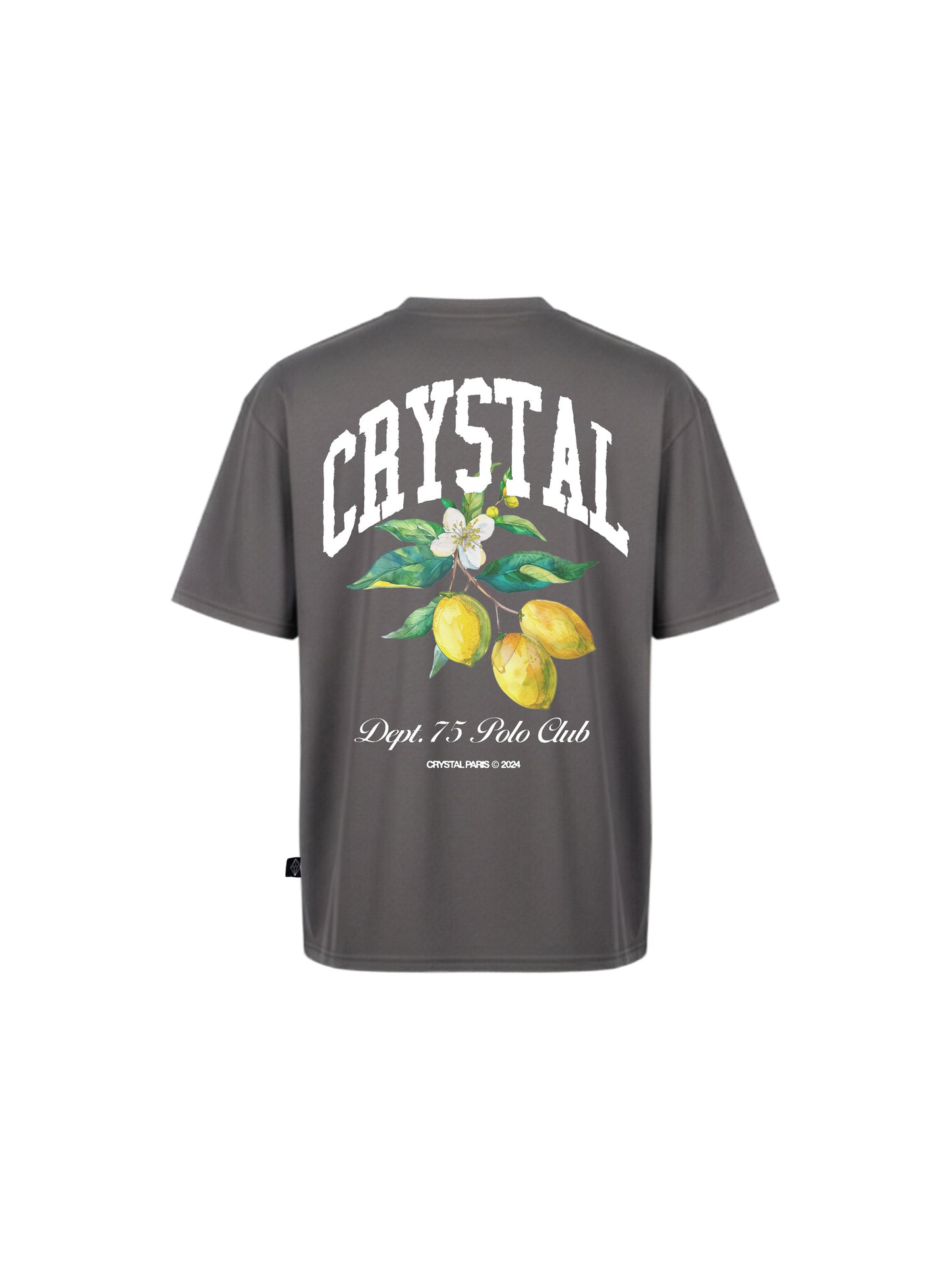 Polo Club Oversized T-Shirt