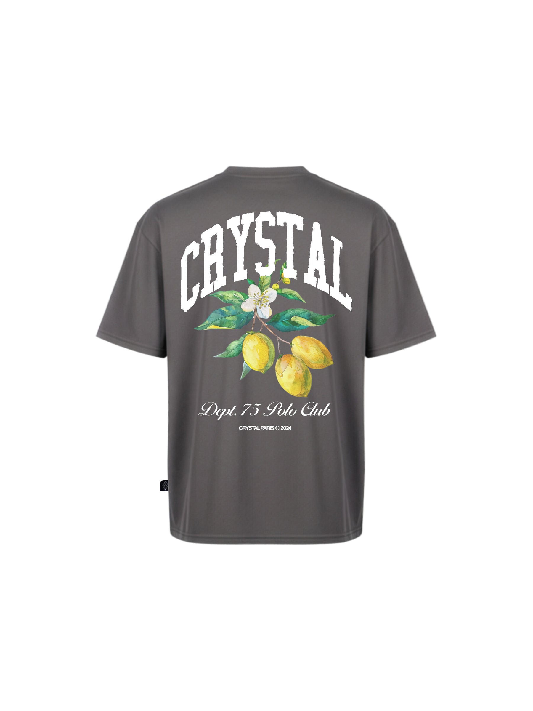 Polo Club Oversized T-Shirt